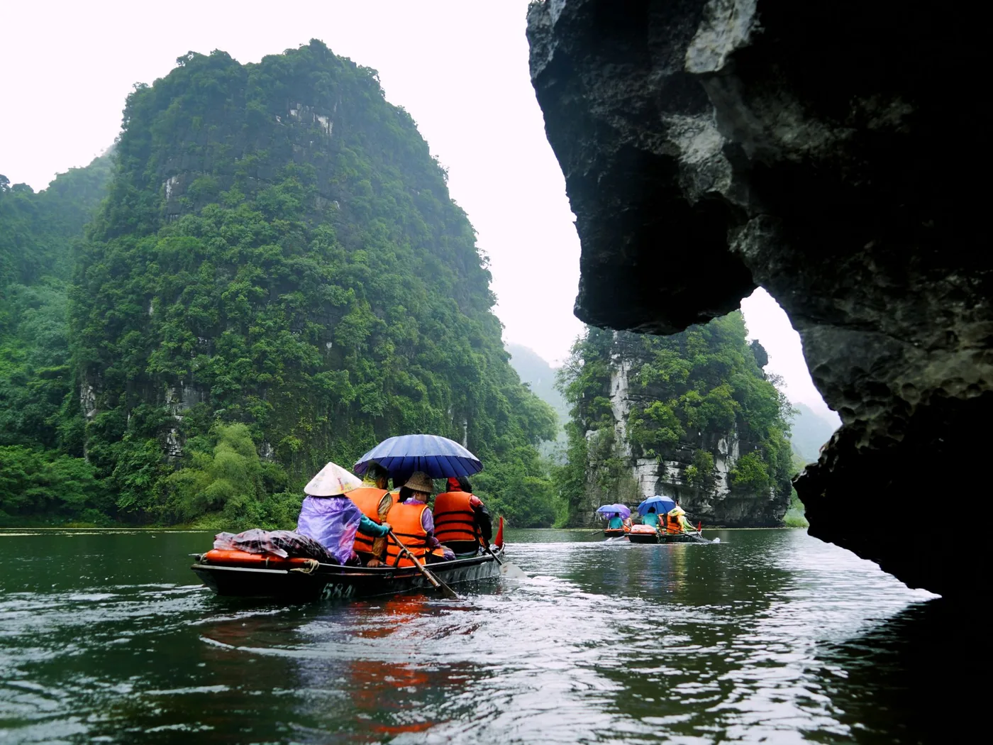 Vette carsiche e giungla sopra il Parco Nazionale di Phong Nha-Ke Bang